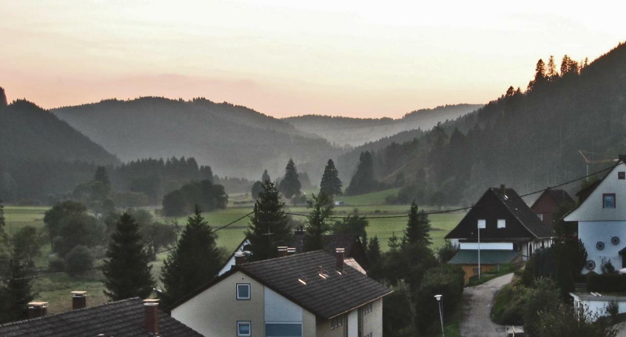 Urseetalblick Apartment Lenzkirch Exterior foto